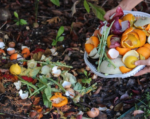 Nietypowy odpad, który angielscy ogrodnicy wrzucają do kompostownika. Wchłania wilgoć i wzbogaca nawóz