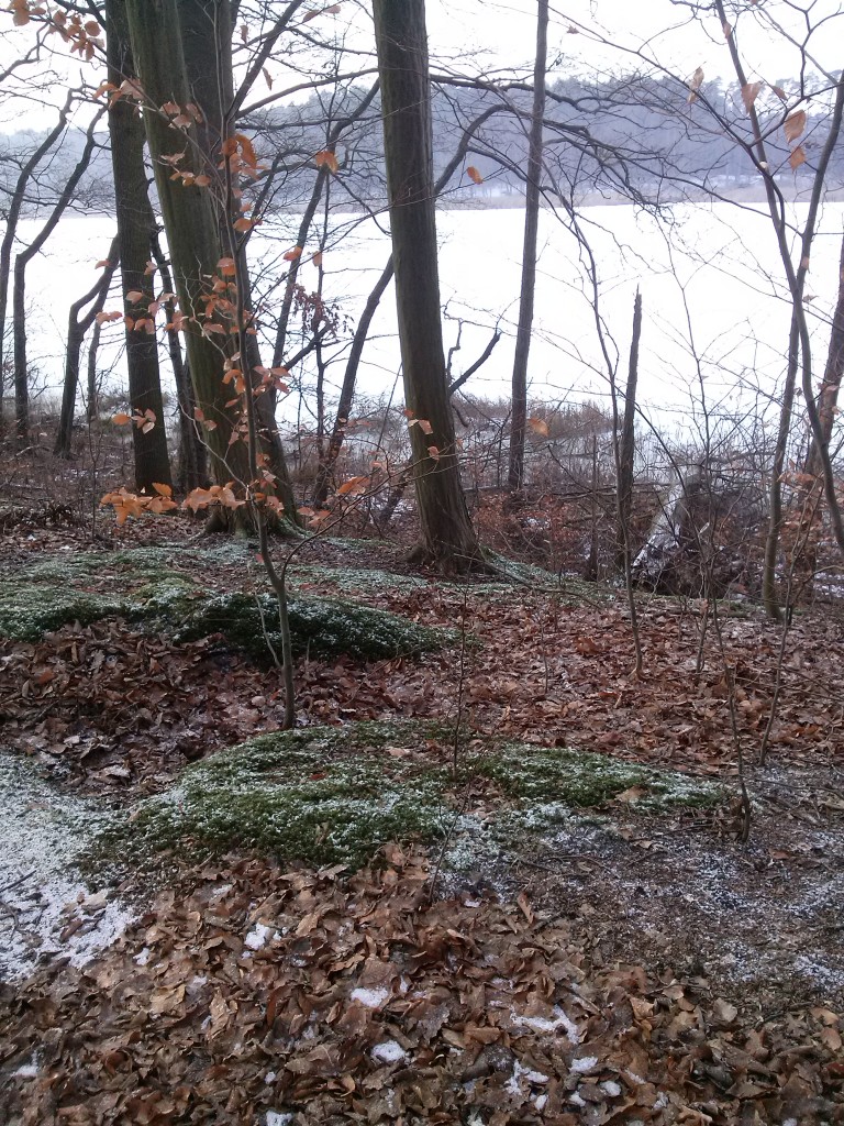 Pozostałe, I u mnie trochę zimy...