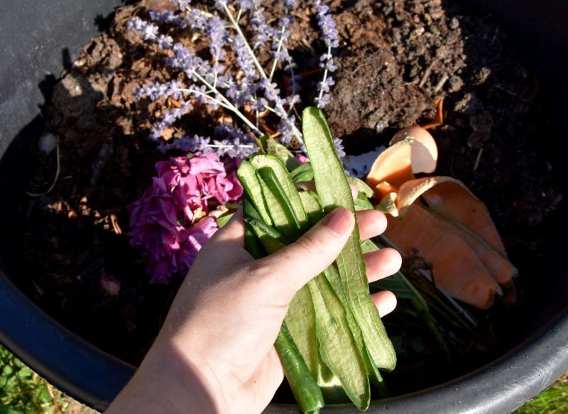 Nie wszystkie resztki kuchenne powinny trafić do kompostownika.