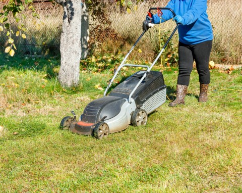 Jak zadbać o trawnik jesienią? Niezbędne prace przed zimą