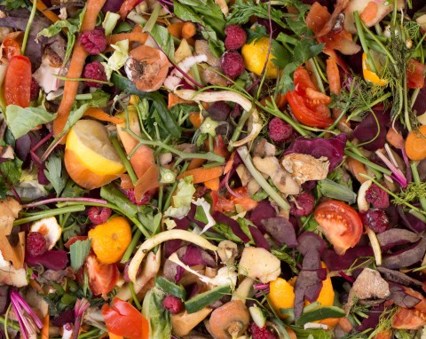 Patent na przyspieszenie kompostowania bez drogich dodatków. Potrzebny jest tylko produkt z lodówki