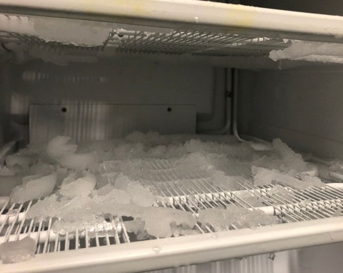 Tak wyczyścisz zamrażarkę bez rozmrażania produktów. Pamiętaj o uszczelce, by nie tracić temperatury