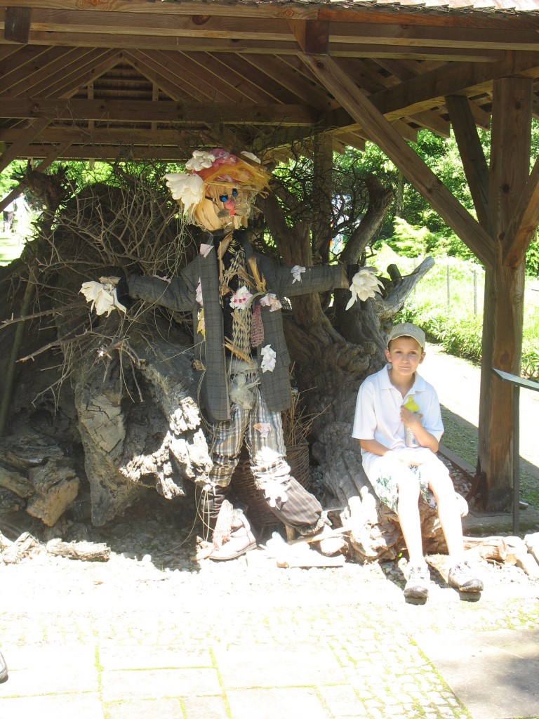 Pozostałe, niedzielna wycieczka:)))) - ARboretum położone jest 7 km na północny-wschód od Przemyśla, należy do cennych zabytków przyrody i kultury.