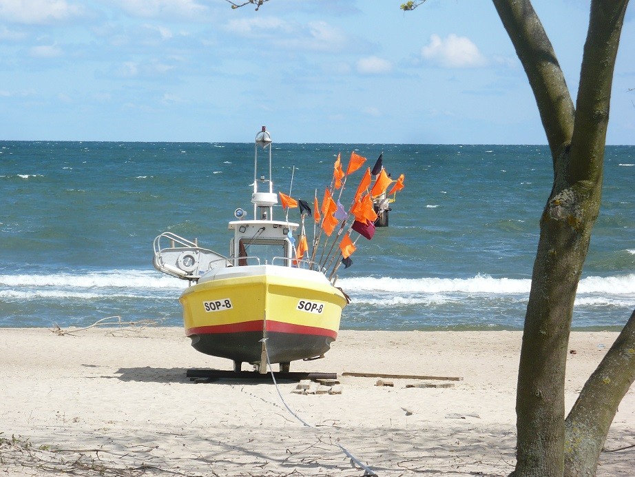 Rośliny, Wiosna w ogrodzie .........i ........w domu ............. - .................i kuter na plaży...............