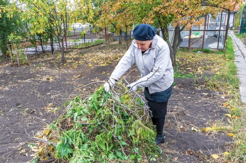 Palenie gałęzi w ogrodzie jest regulowane przepisami.