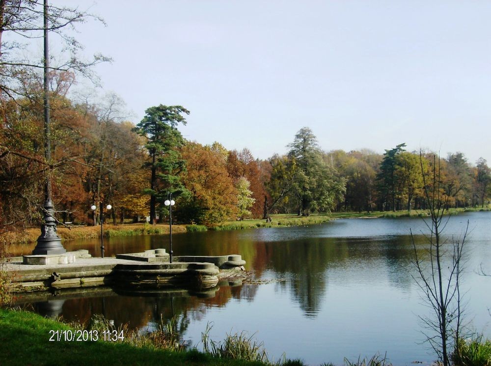 Pozostałe, PARK w ŚWIERKLAŃCU - Romantyczną przystań, cudowna roślinność