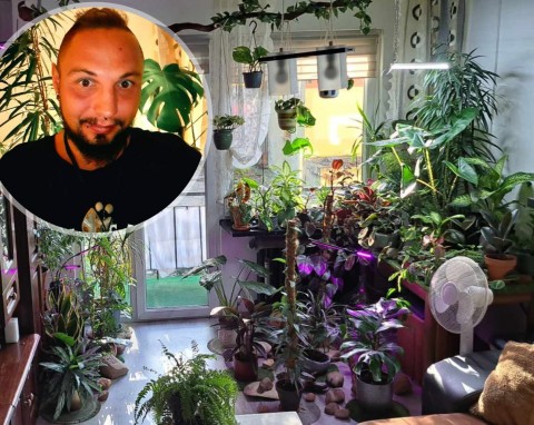 Kolekcją kwiatów w mieszkaniu wzbudził sensację w internecie. Twierdzi, że rośliny uczą go pokory