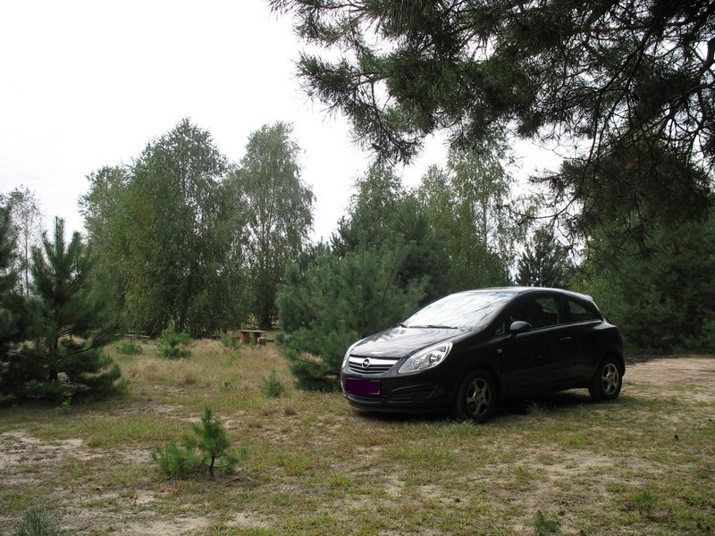 Leśne klimaty, Jak zmieniał się nasz ogród - Tu będzie parking.