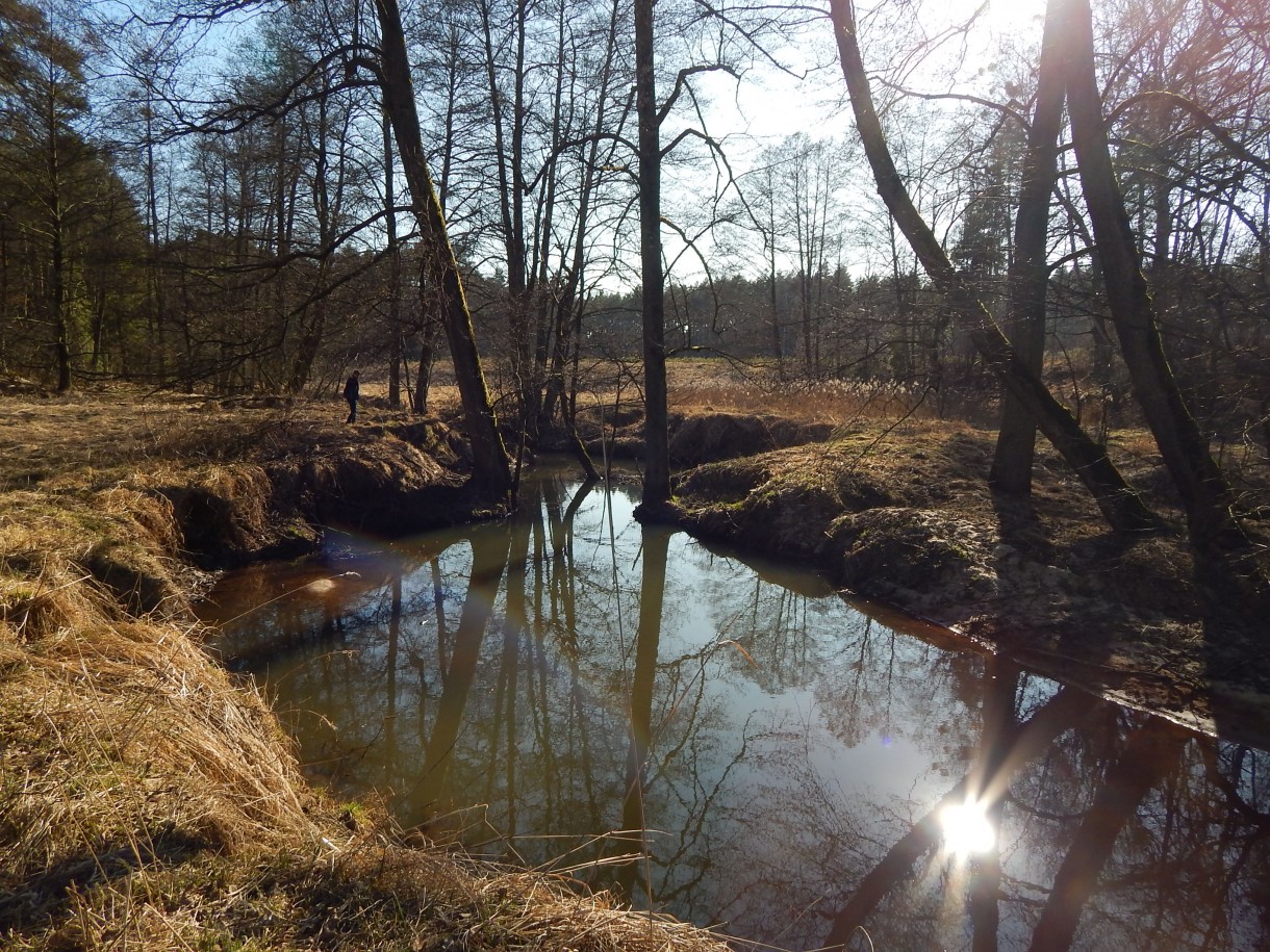 Jadalnia, PACHNIE WIOSNĄ....