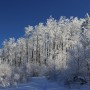 Pozostałe, zimowe klimaty - .