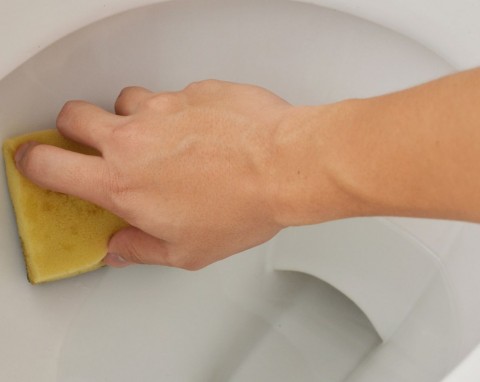 Rozrób i wlej do toalety. Rury nie będą się zatykać i przestanie nieprzyjemnie pachnieć