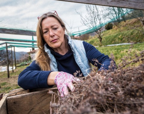 Utrzymanie ciepła i pracy pryzmy kompostowej w chłodne dni. Jak to zrobić?
