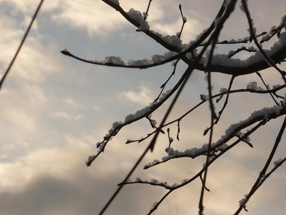 Pozostałe, Pierwsze pisanki haftowanki i zima nad morzem ................. - ..........i śnieg na gałązkach............