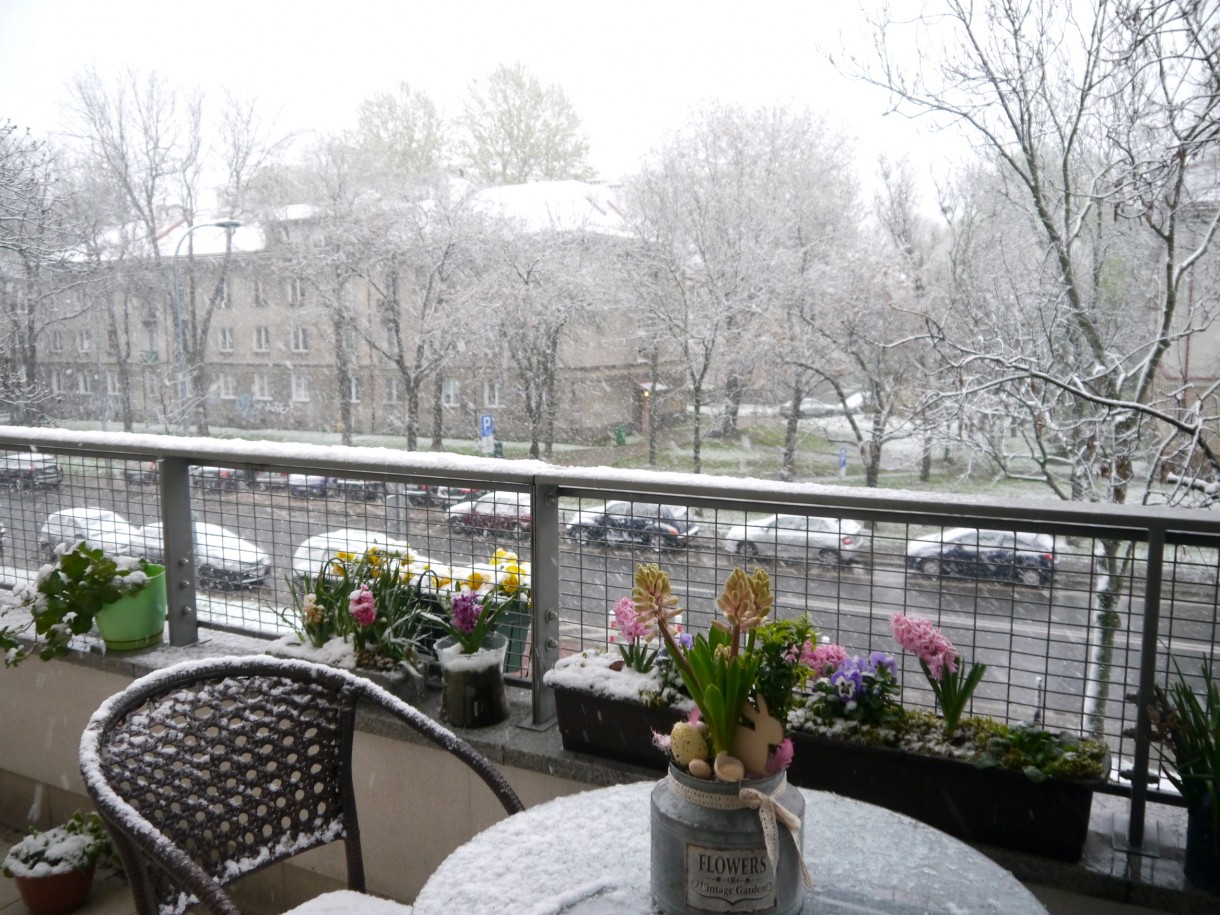 Balkon, Kapryśny kwiecień - A dzisiaj na Mazowszu zrobiło się biało