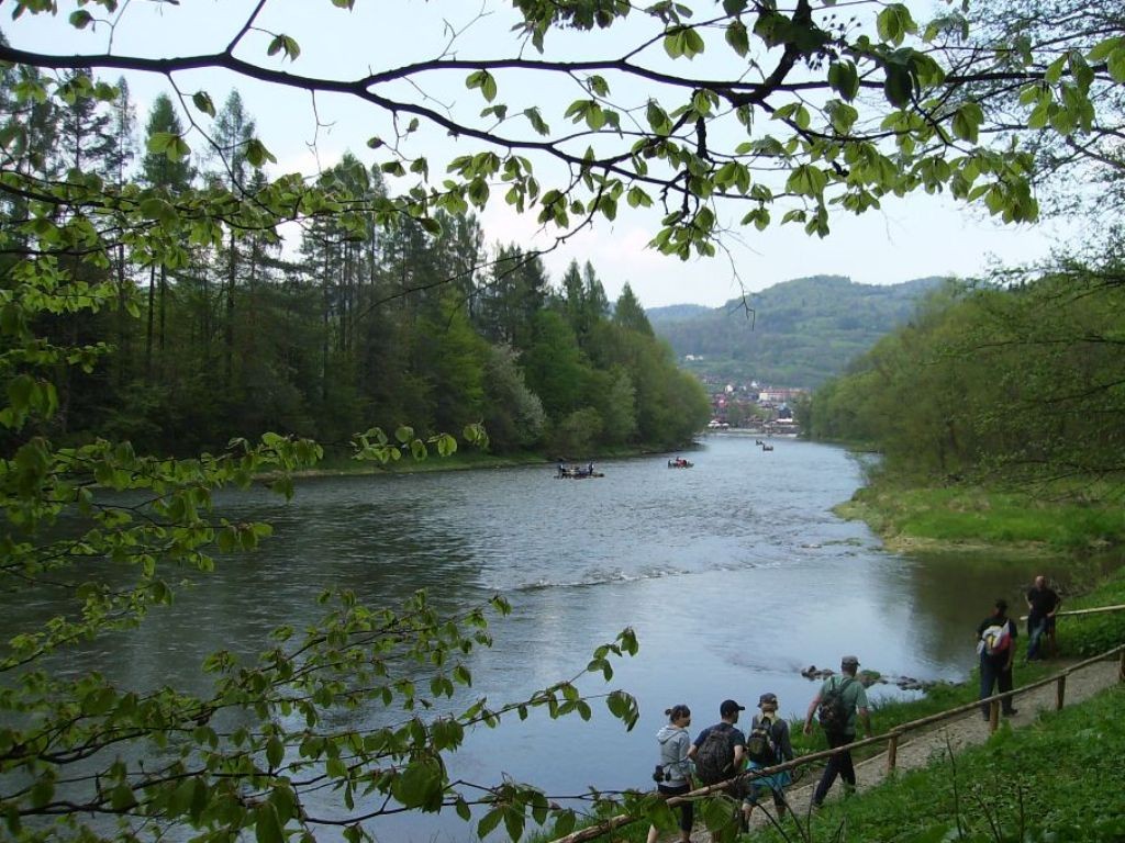 Podróże, DZIKA  FLORA  I  FAUNA  SZCZAWNICY - SZCZAWNICA