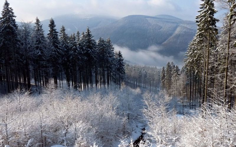 Pozostałe, Zima  jest w górach - widoki z okolic Czerwonogórkiego siodła