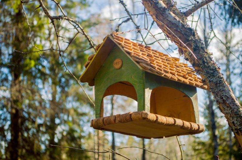 Neutralne kolory stanowią ochronę