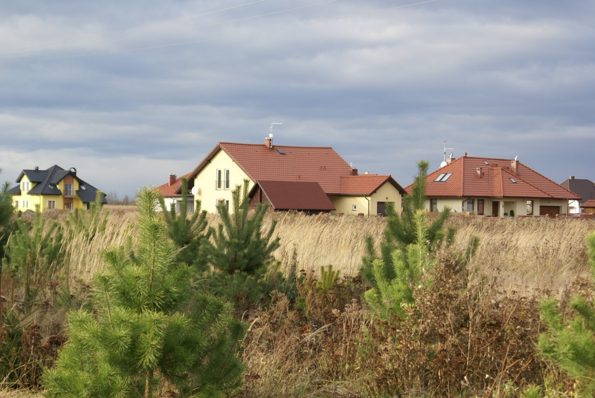 Ogród, widok z ogrodu