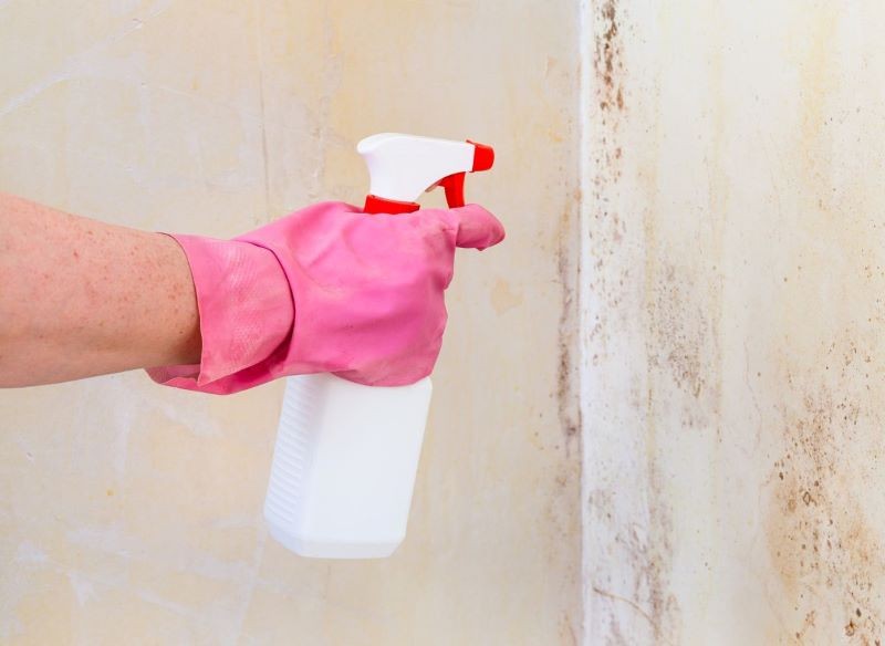 Pleśni ze ściany trzeba się pozbyć jak najszybciej.