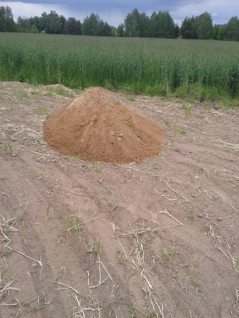 Pozostałe, WYMRZONY SKRAWEK NAD JEZIORKIEM :)