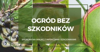 OGRÓD BEZ SZKODNIKÓW