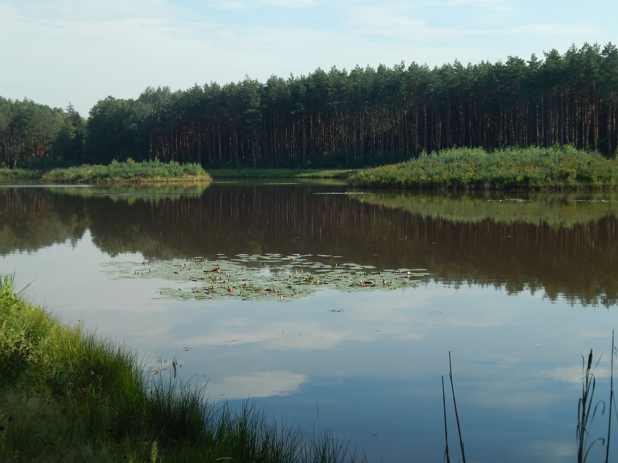 Leśne klimaty, KAWA W LESIE  :)