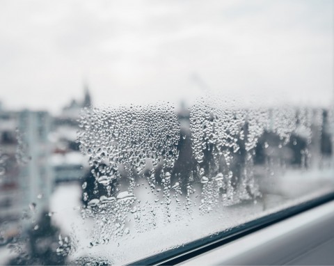 Ani pianka do golenia, ani spryskiwacz do szyb samochodowych. Koleżanka pokazała mi sposób na zaparowane okna w domu