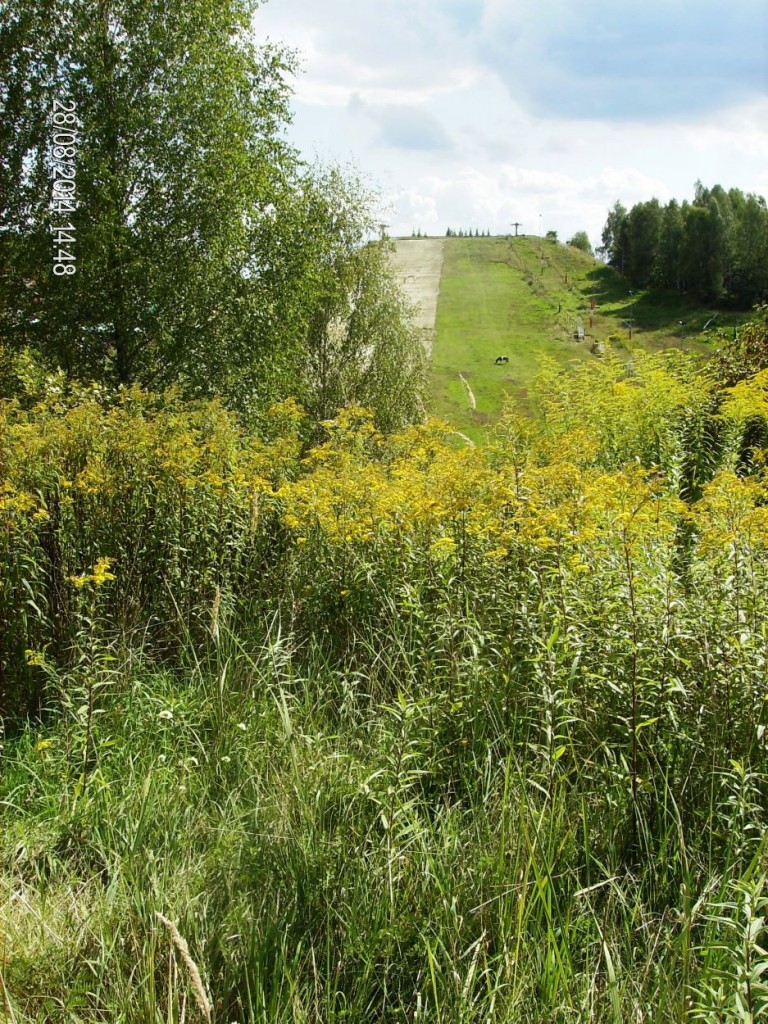 Pozostałe, DOLOMITY - SPORTOWA  DOLINA  LATEM  – BYTOM - TRASA ZJAZDOWA LATEM