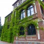 Pozostałe, Arboretum w Gołuchowie - Park i zabudowania cz 1 - Gołuchów 