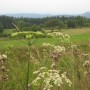 Pozostałe, Z cyklu cudze chwalicie... Bieszczady w moim obiektywie...