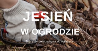 Jesień w ogrodzie