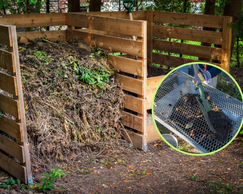 Jak pozyskać dobry kompost? Ogrodnik pokazał metodę, jak przesiewa i szuka czarnego złota