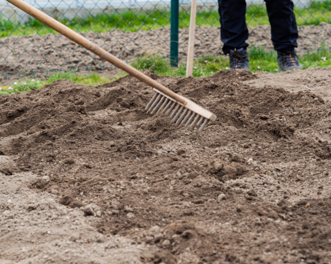 W listopadzie zostaw je na rabatach. Na wiosnę nie będzie chwastów, a gleba będzie bardziej żyzna