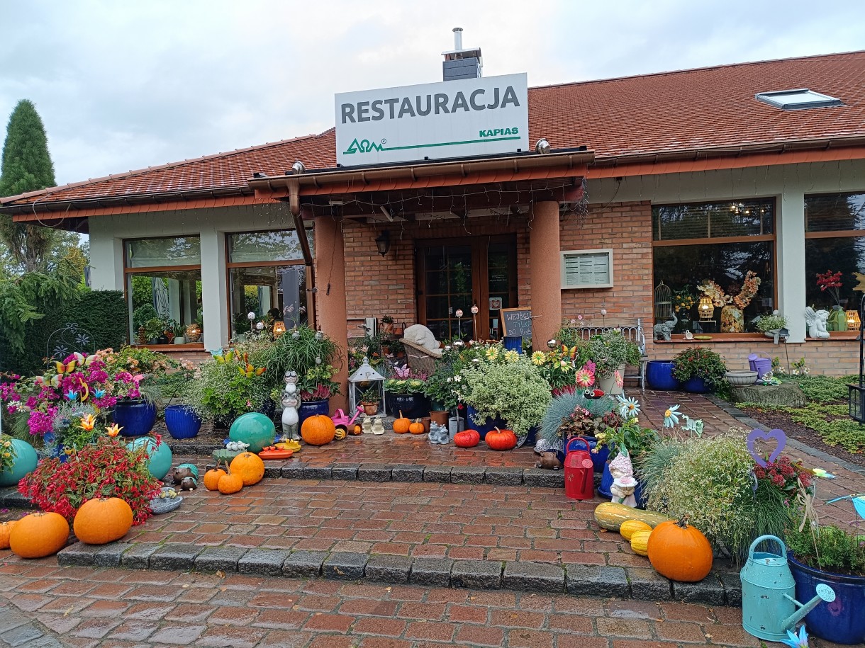 Rośliny, Jesień w Ogrodach