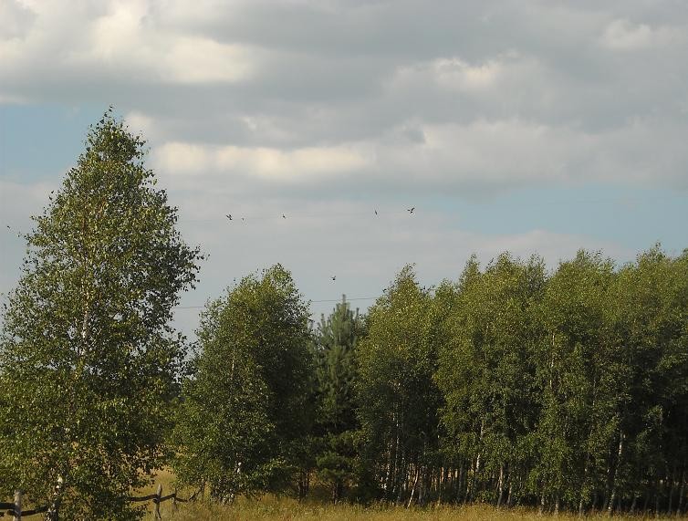 Pozostałe, Wiejskie klimaty czyli weekend na wsi...........