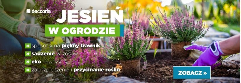 jesienne prace w ogrodzie