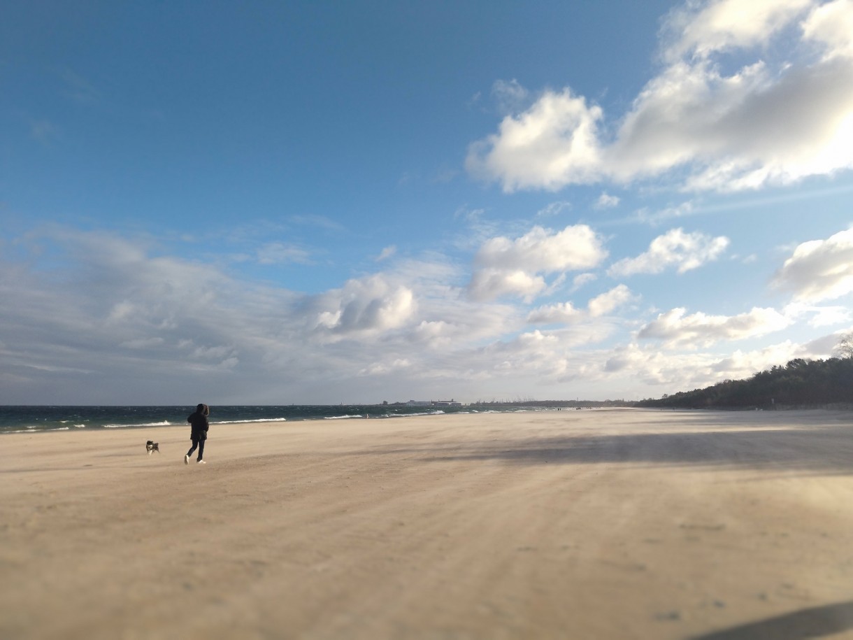 Rośliny, Z tęsknoty za wiosną................. - ...................i plaża.....................