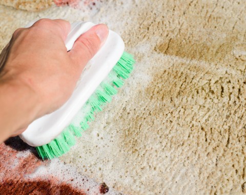 Używam zamiast drogich środków do czyszczenia. Dywan jest jak nowy, znikają wszystkie plamy