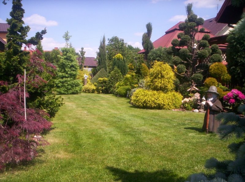 Ogród, ogród 2009 - .