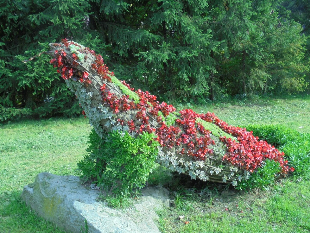 Pozostałe, FLORA i FAUNA  SZCZAWNICKA  - II część