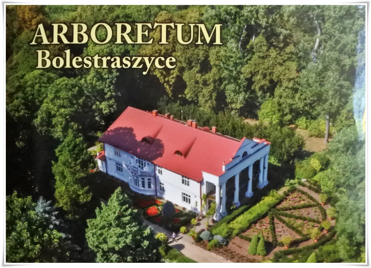 Rośliny, Arboretum - fot,z przewodnika