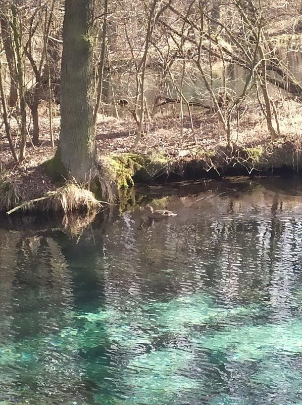 Leśne klimaty, Rezerwat Niebieskie Źródła