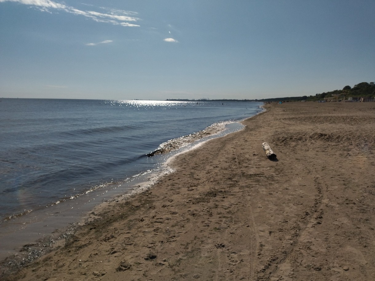 Rośliny, Jeszcze sierpniowa...........wciąż letnia galeria.......... - Lato powoli się kończy................słonka coraz mniej ..................w ogrodzie hortensje wybarwiają się na różowo ....................dojrzałe owoce kuszą .....................borówka już w słoikach ..............idzie jesień ................