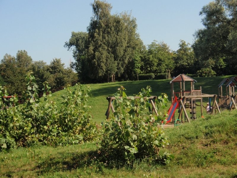 Pozostałe, W parku i nad wodą.