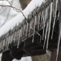 Leśne klimaty, CZEKAJĄC NA ŚWIĘTA :)