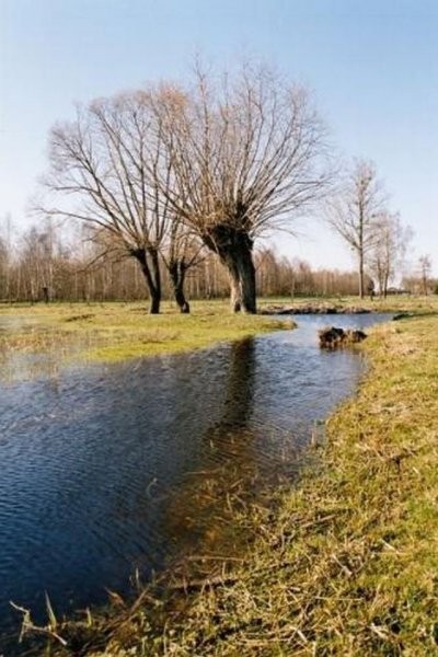 Pozostałe, Z okazji roku Chopinowskiego