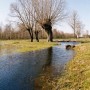 Pozostałe, Z okazji roku Chopinowskiego