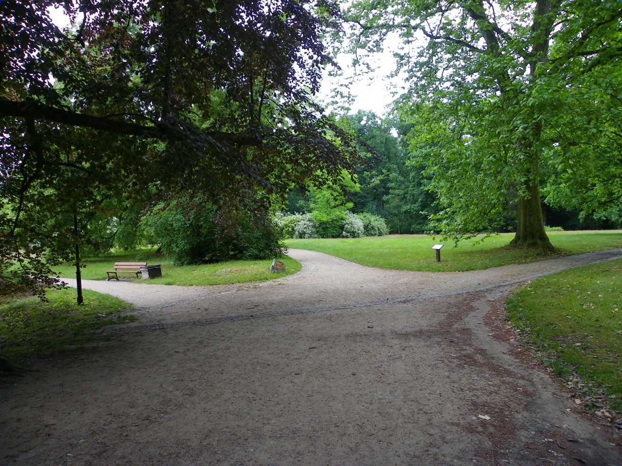 Pozostałe, Arboretum w Gołuchowie - Park i zabudowania cz 1 - Gołuchów