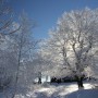 Pozostałe, zimowe klimaty - .