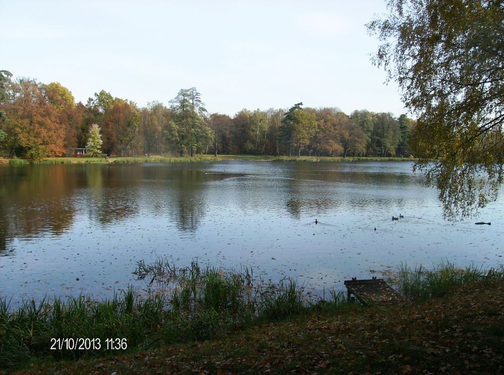 Pozostałe, PARK w ŚWIERKLAŃCU - flora oraz fauna w parku jest bogata.